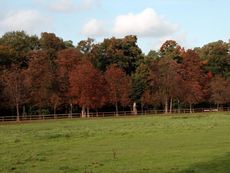 B-Herbststimmung 095.jpg